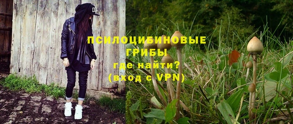 экстази Михайлов