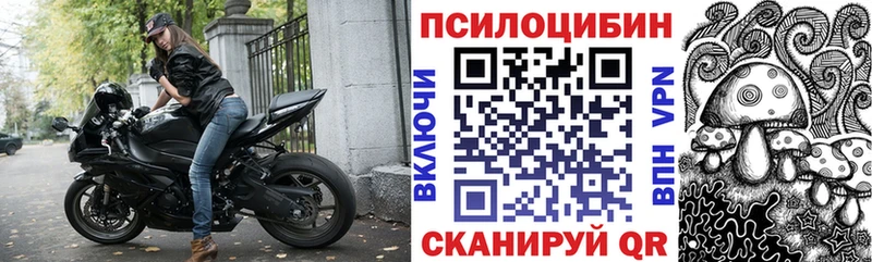 Галлюциногенные грибы Psilocybine cubensis Нерюнгри
