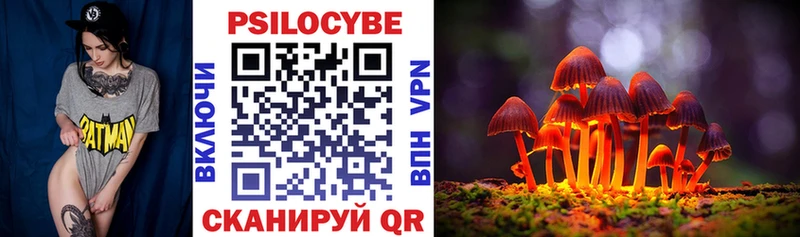 Псилоцибиновые грибы Magic Shrooms  Купить где  Нерюнгри 